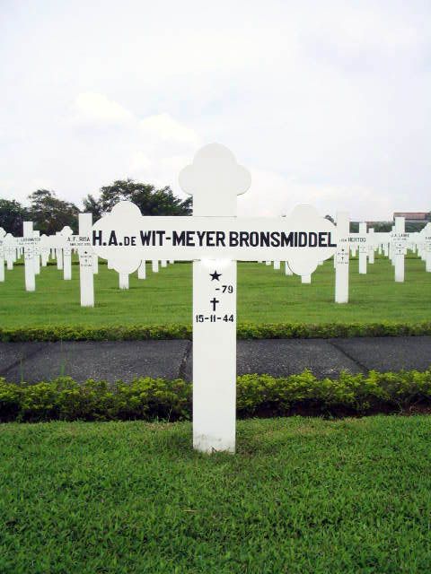 wit.de.meyer bronsmiddel.h.a.2005.jpg