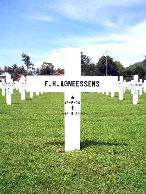 agneessens.f.h.2005.jpg