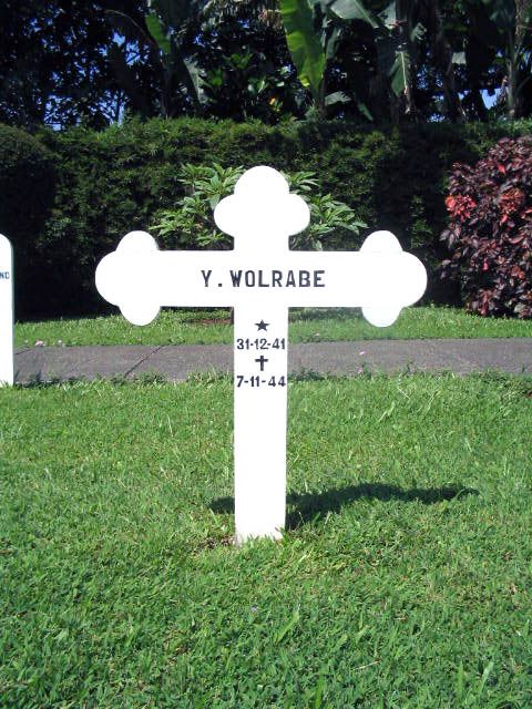 wolrabe.y.2005.jpg