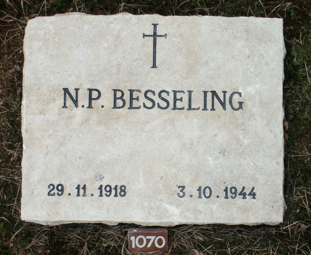 besseling.n.p.2006.jpg