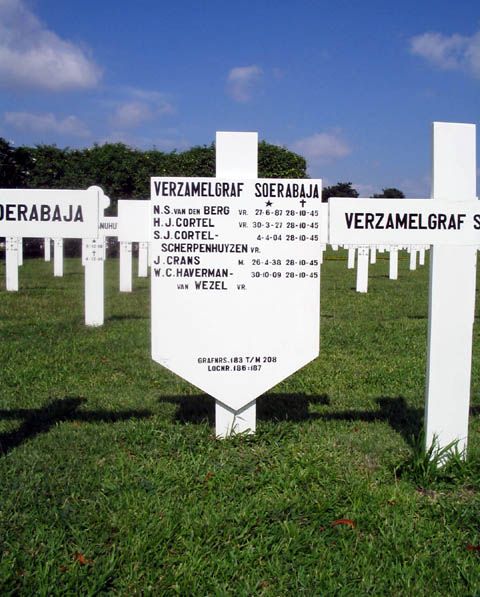 berg.v.den.n.s.2005.jpg