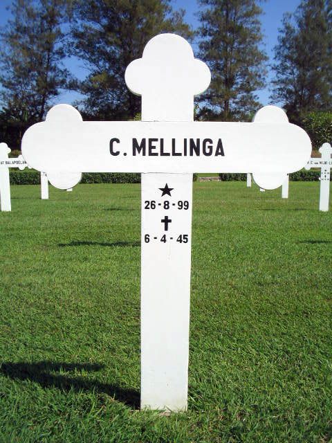 mellinga.c.2004.jpg