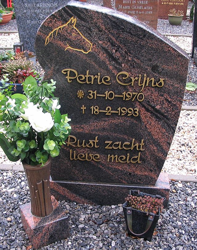 crijns.c.p.2006.jpg