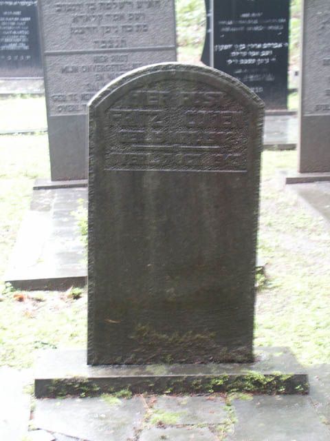 Cohen(2).jpg