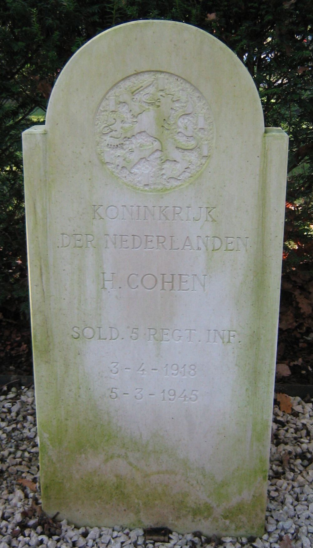 cohen.h.2010.jpg
