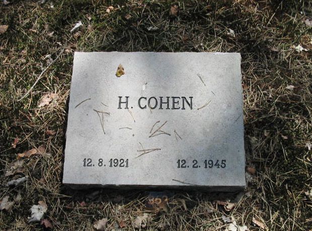H.Cohen.jpg