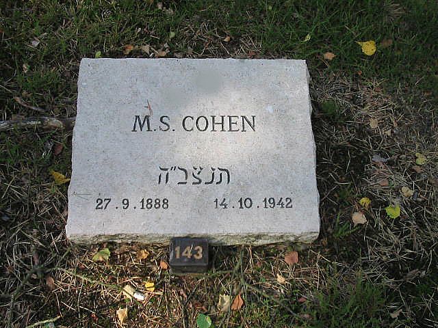 M.S.Cohen.jpg