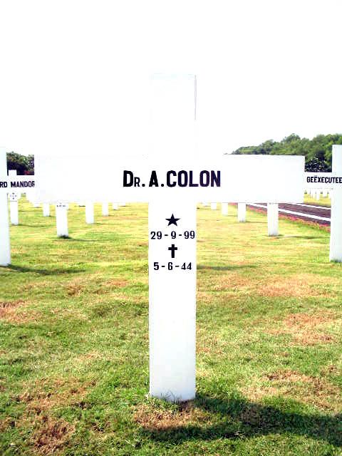 colon.a.2005.jpg