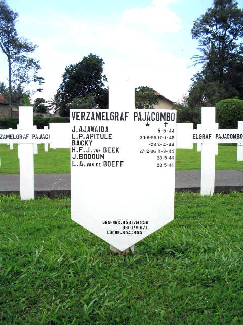 beek.van.h.f.j.2005.jpg