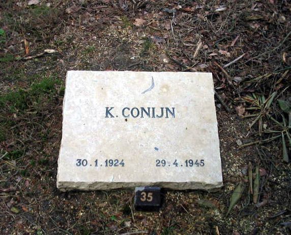 Conijn k.jpg.JPG