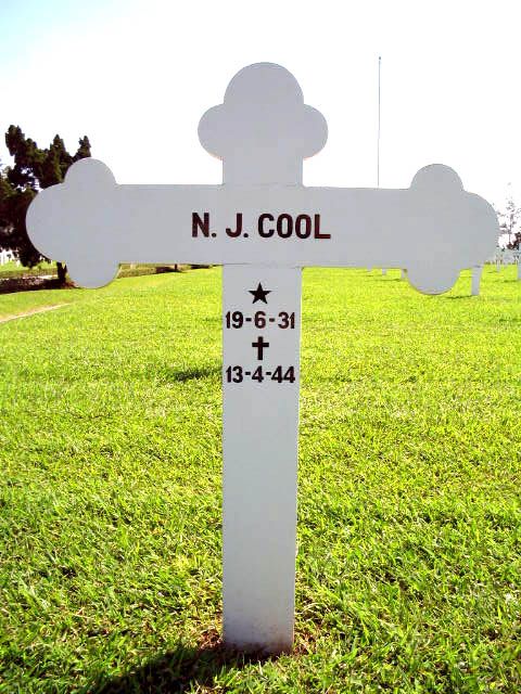 cool n.j.2004.jpg