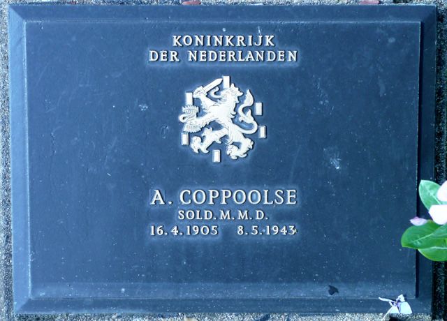Coppoolse.A.2008(1).jpg