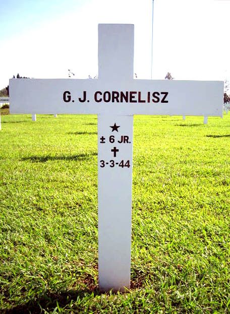 coenelisz g.j.2004.jpg