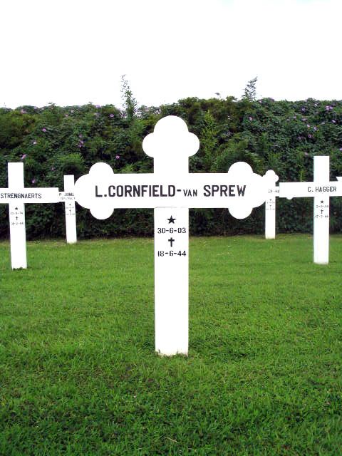cornfield.sprew.van.l.2005.jpg