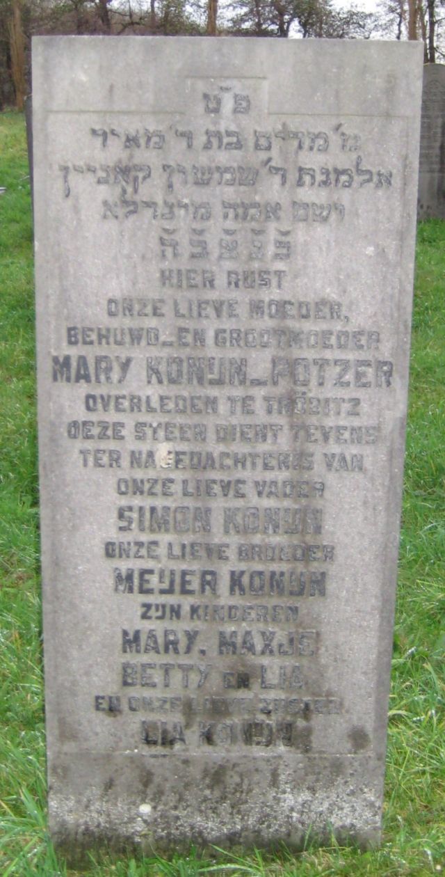konijn-potzer.m.2008.jpg