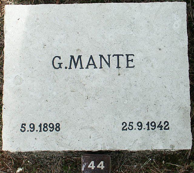 mante.g.2006.jpg