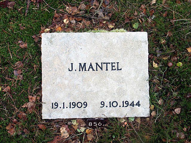 mantel.j.2005.jpg