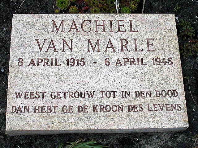 Marle M.jpg