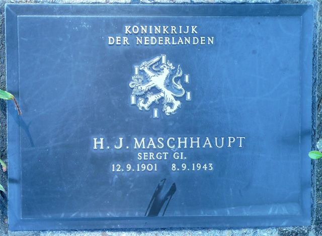 Maschhaupt.H.J.2008.jpg