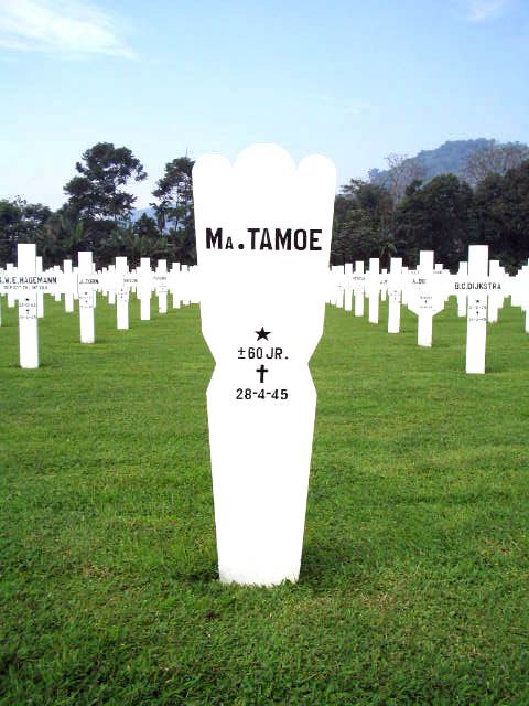 tamoe.ma.2005.jpg