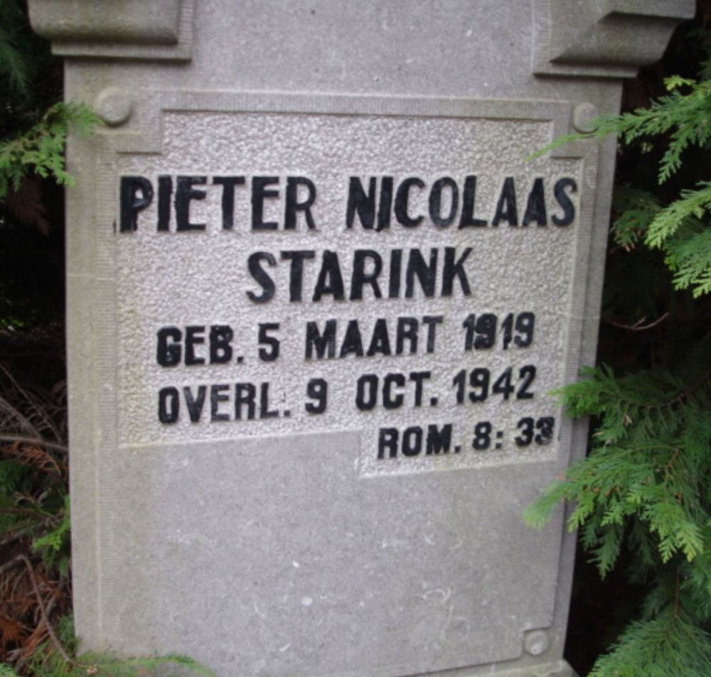 starink.p.n.2009.jpg