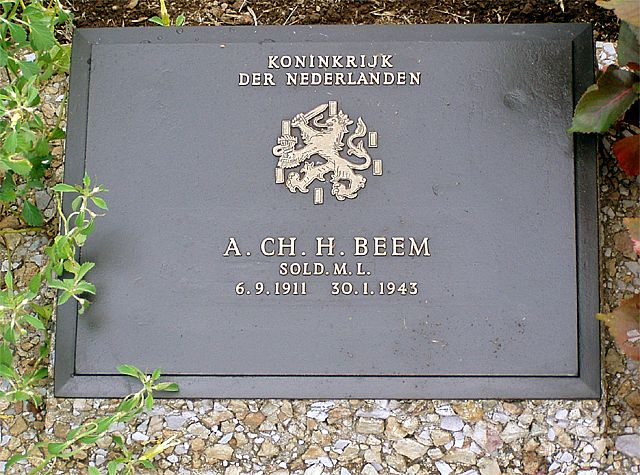 beem.a.c.h.jpg