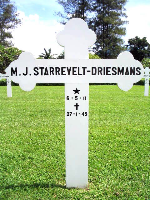 starrevelt driesmans.m.j.2004.JPG