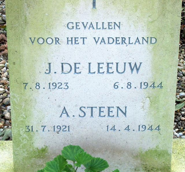 steen.a.2009.jpg