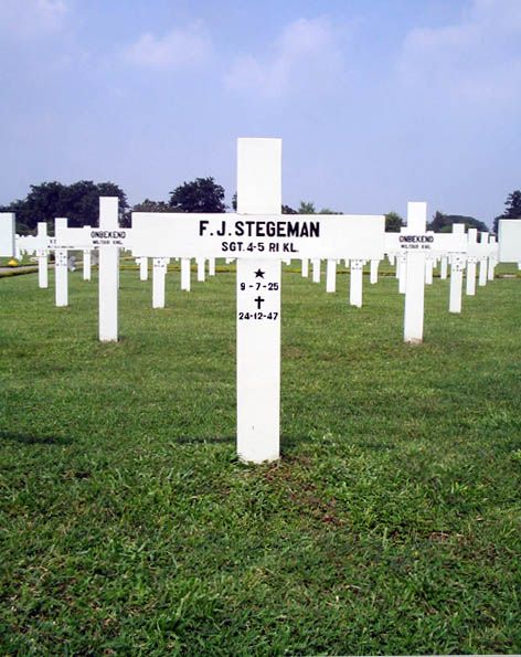 stegeman.f.j.2005.jpg