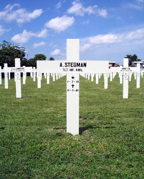 stegman.a.2005.jpg