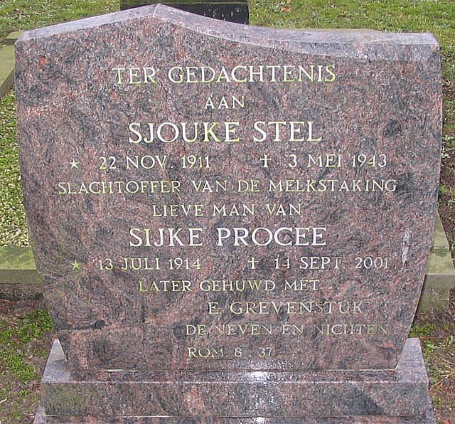stel.s.2006.jpg