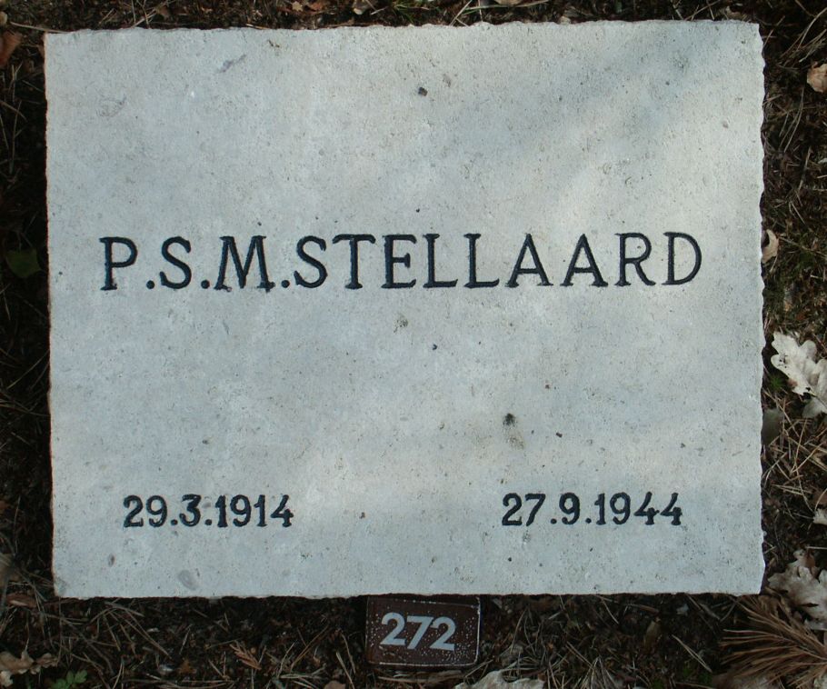 stellaard.p.s.m.jpg