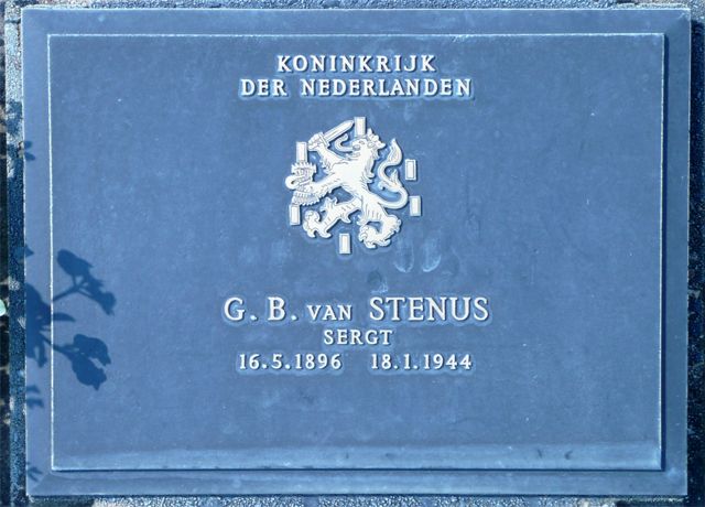 Stenus.G.B.van.2008.jpg