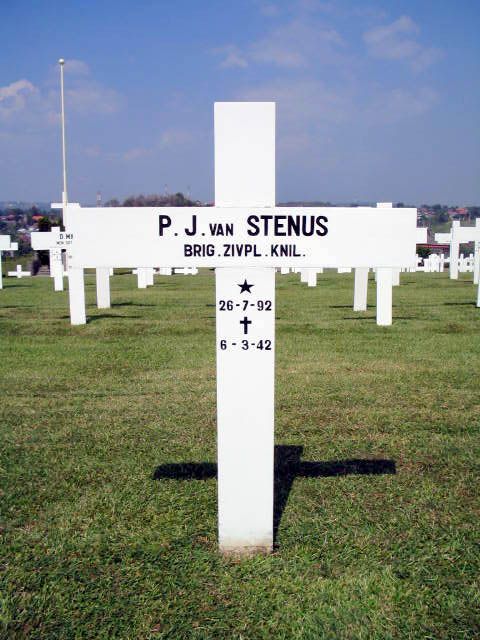 stenus.v.p.j.2004.jpg