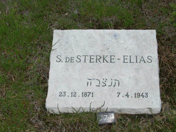 S.de Sterke-Elias.jpg