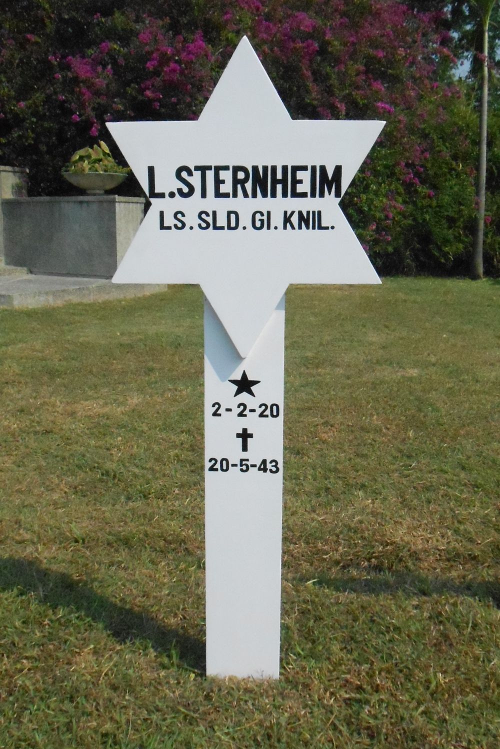 Sternheim.l..jpg