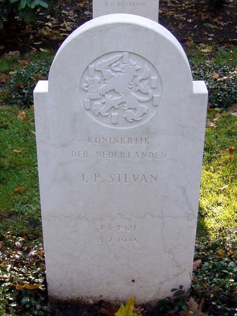 Stevan J.P.jpg