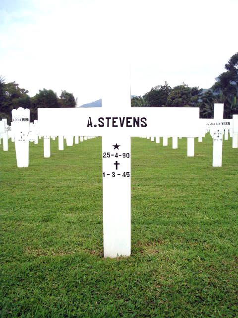 stevens.a.2005.jpg
