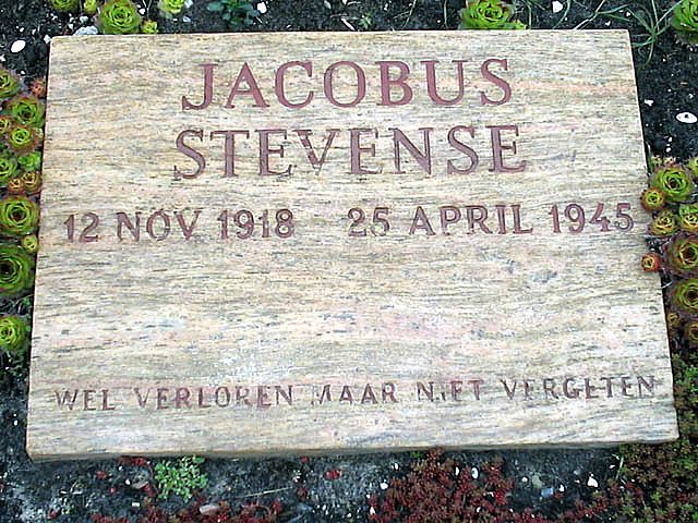 Stevense J.jpg
