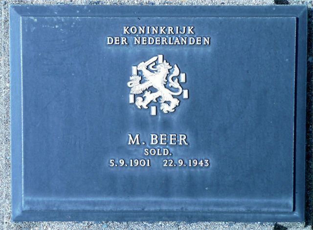 Beer.M.2008.jpg