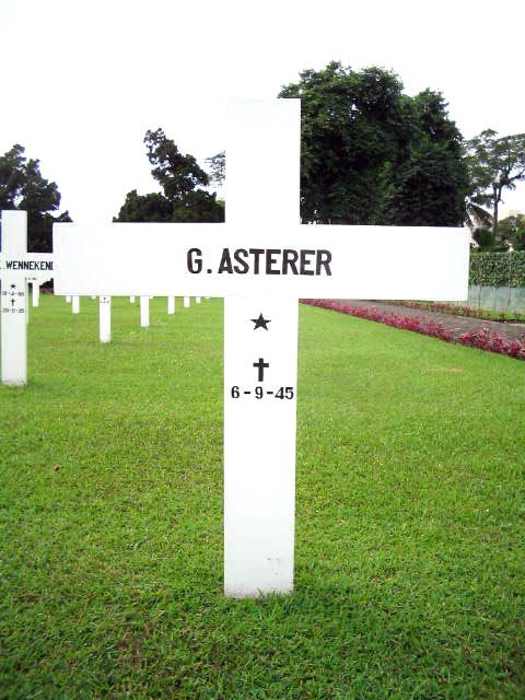 asterer.g.2005.jpg