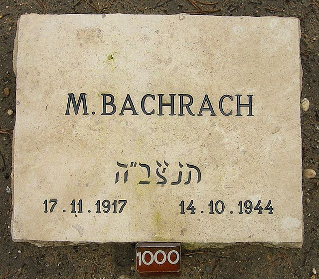 bachrach.m.2007.jpg