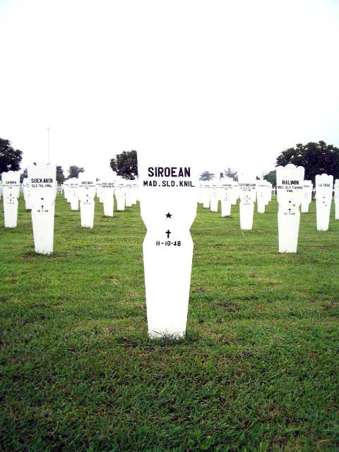 siroean.2005.jpg