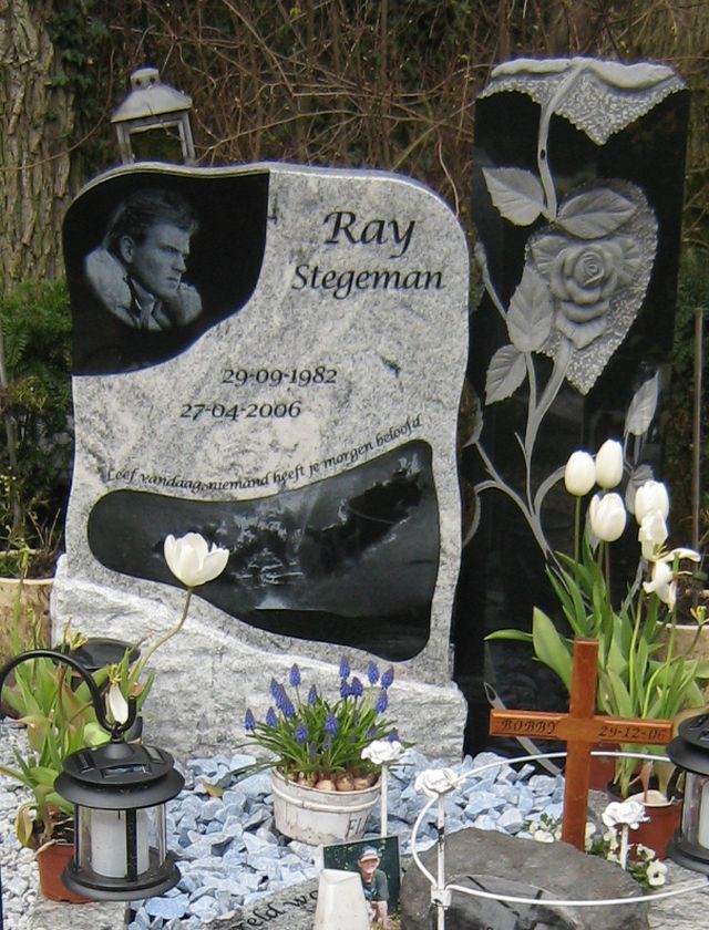 stegeman.r.2008.jpg