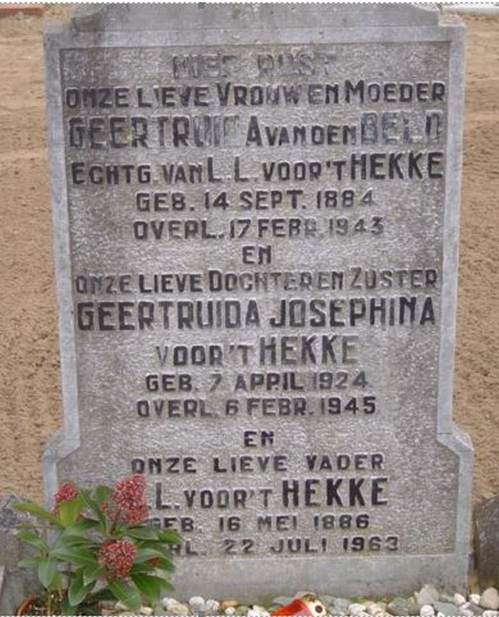hekke.JPG