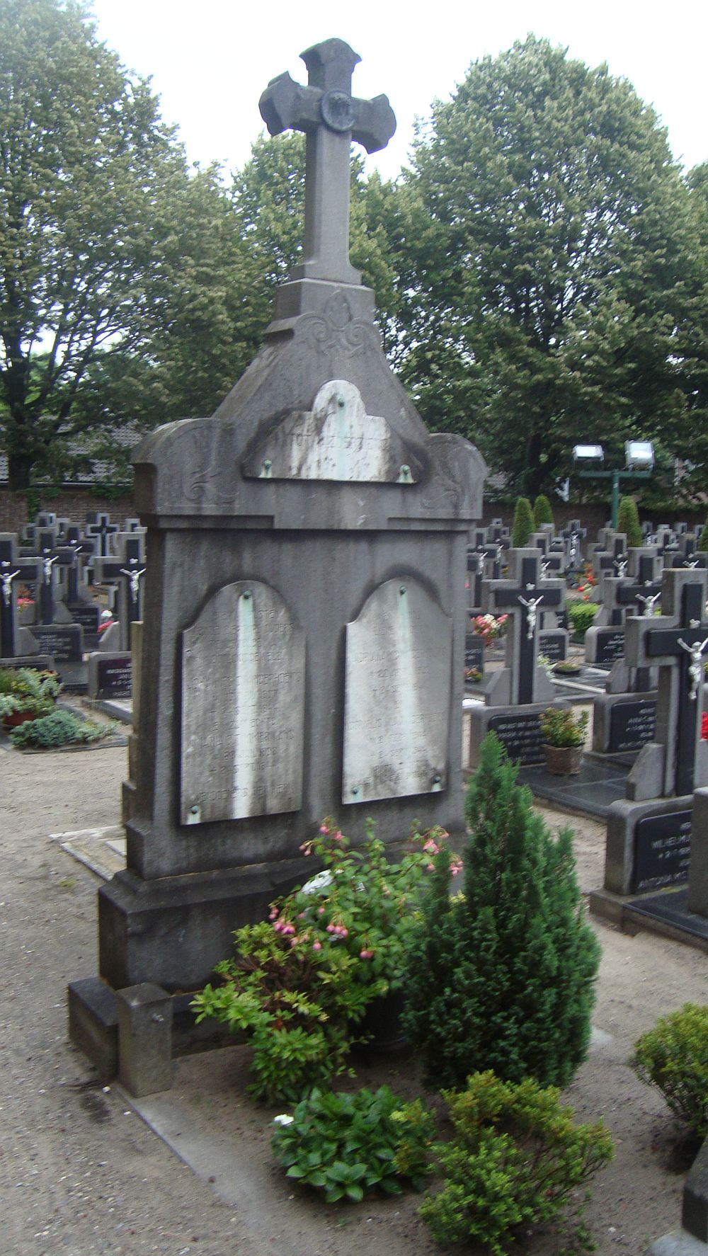 vingerhoets2011.jpg