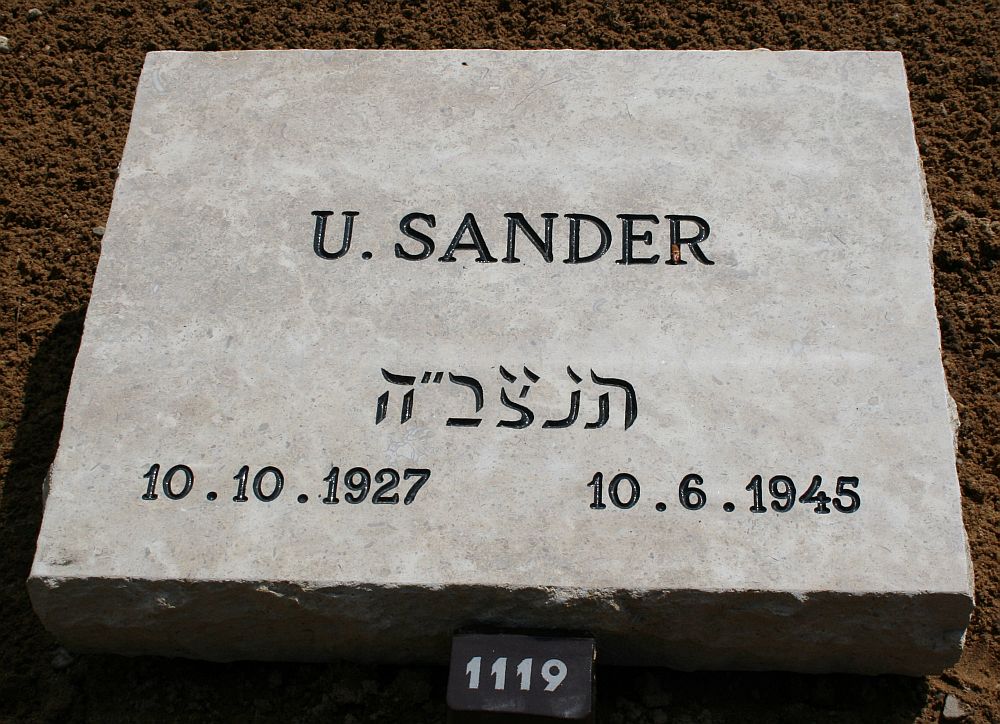 sander.u.2011.jpg