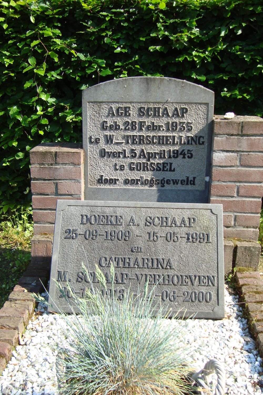 schaap.a..jpg