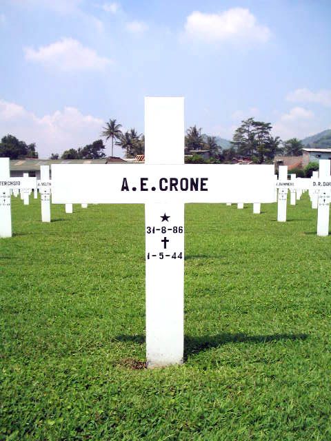 crone.a.e.2005.jpg
