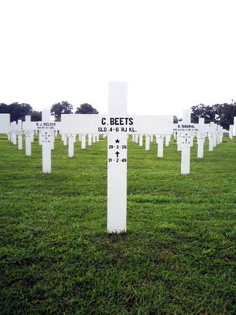 beets.c.2005.jpg